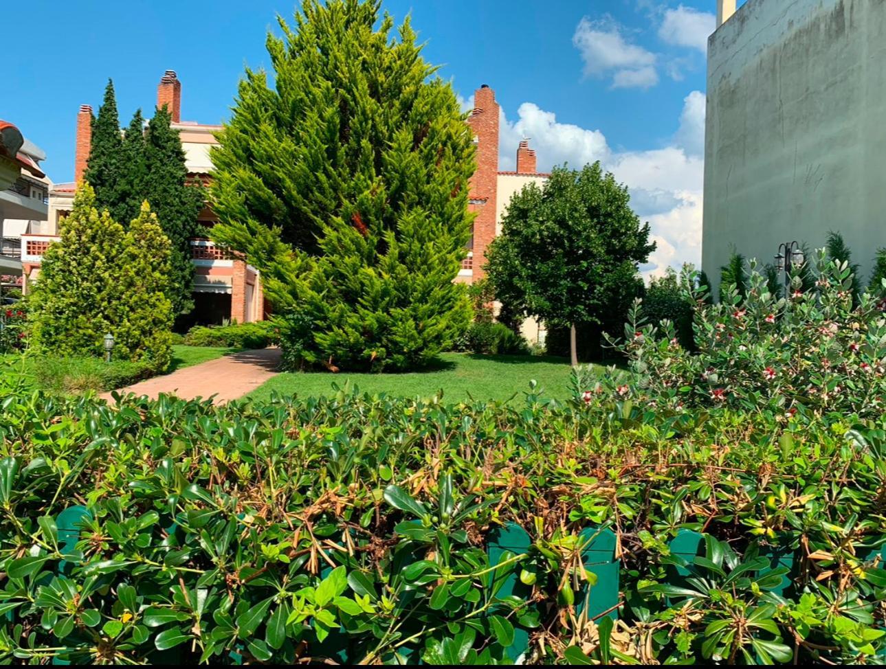 Villa Reina Aleksandropolis Zewnętrze zdjęcie